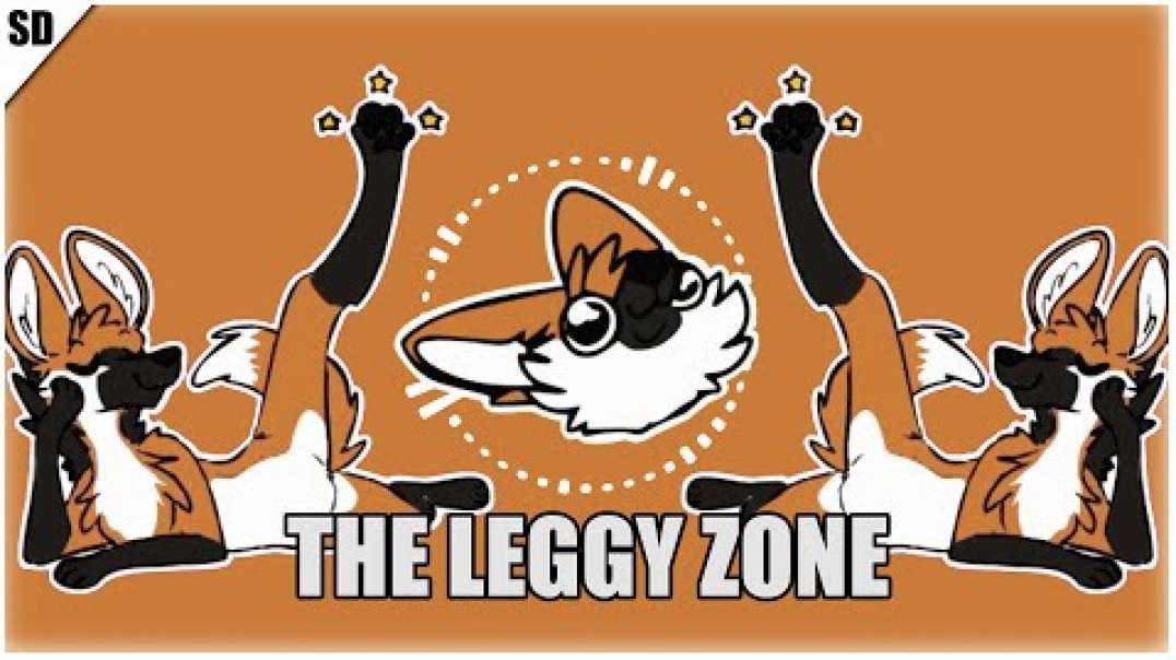 ⁣The Leggy Zone | Official Music Video